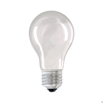 Eveready Pearl GLS ES Bulb 100W Clear S5797