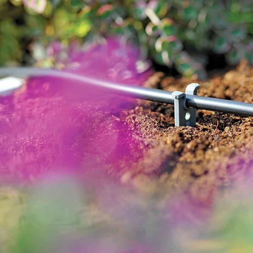 Hozelock Automatic Watering Micro Tube Hose Stakes Grey 4mm Pack of 10 2781 | UV Stable Plastic Drip Line Ground Pegs | Flower Bed and Border Irrigation Pipe Anchor Spikes | Garden Pot Plant Tidy Support Fasteners | Supplied with Complete Fittings