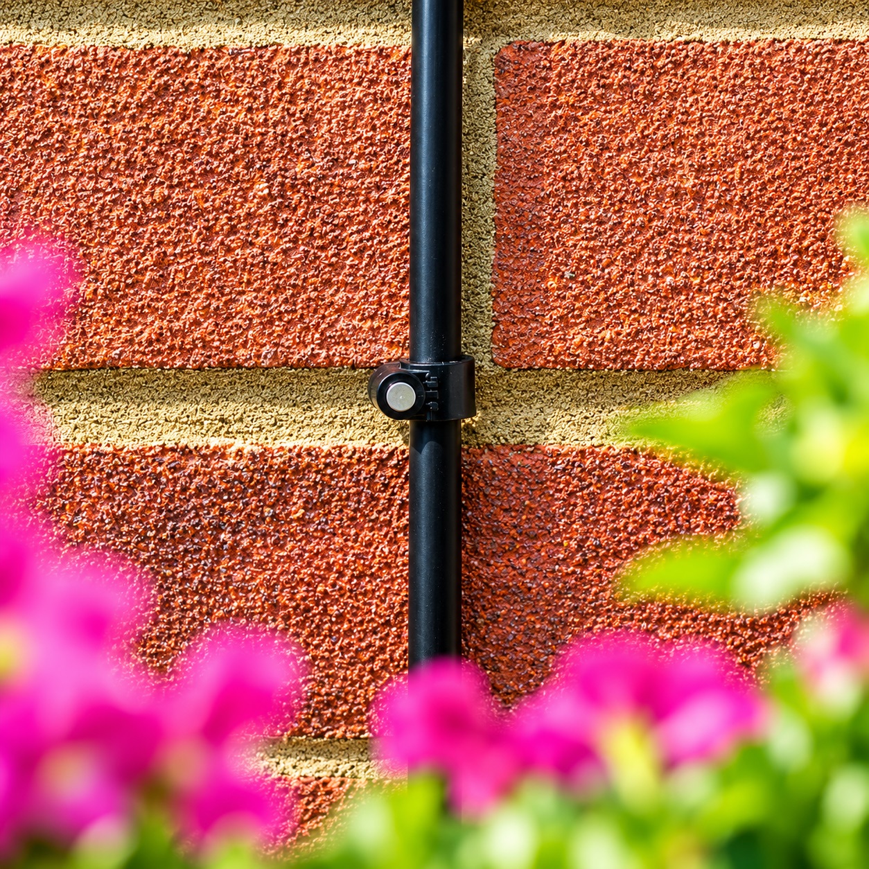 Hozelock Hose Wall Clip Black 4mm Pack of 10 2782 | Micro Irrigation Pipe Fasteners | Cable P-Clips with Metal Pins | UV Stable Plastic | Tubing Support for Walls and Fences | Supplied with Complete Fittings Hozelock Hose Wall Clip Black 4mm Pack of 10 2782 | Micro Irrigation Pipe Fasteners | Cable P-Clips with Metal Pins | UV Stable Plastic | Tubing Support for Walls and Fences | Supplied with Complete Fittings