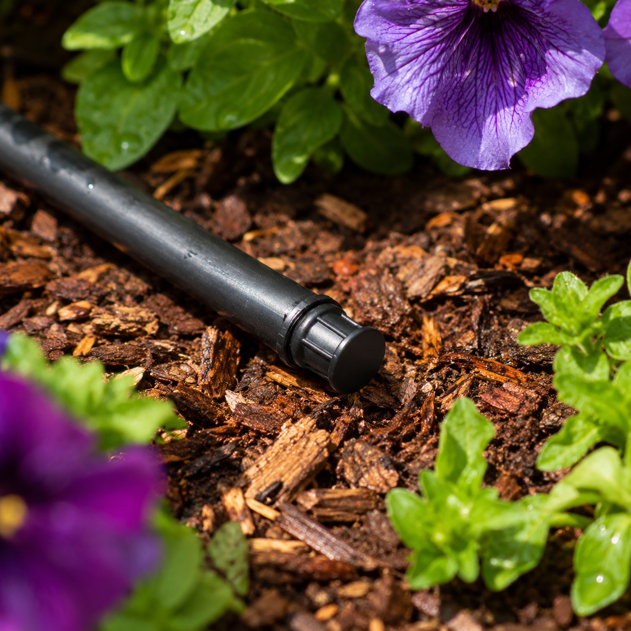 Hozelock End Plugs Black 13mm 70310012 | Supplied With Complete Fittings | Pack of 12 | Irrigation System Accessories | Drip System Accessories | Leak Prevention End Plugs